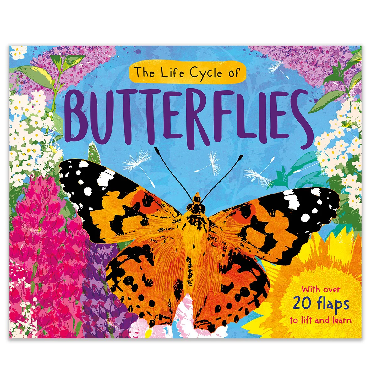 Butterflies